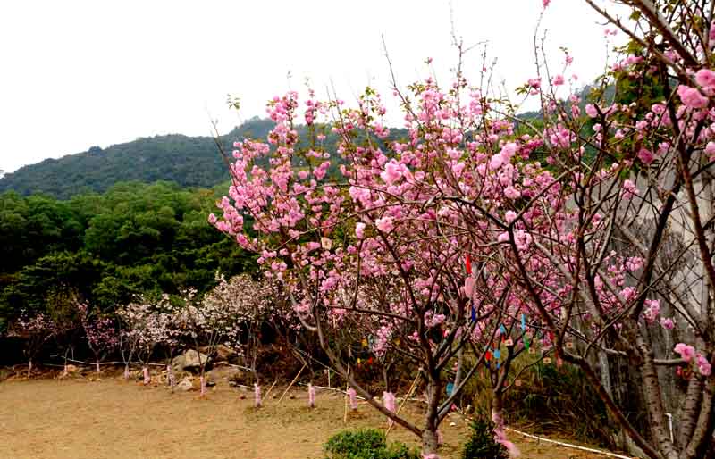 DSC_8153_ͼ.jpg