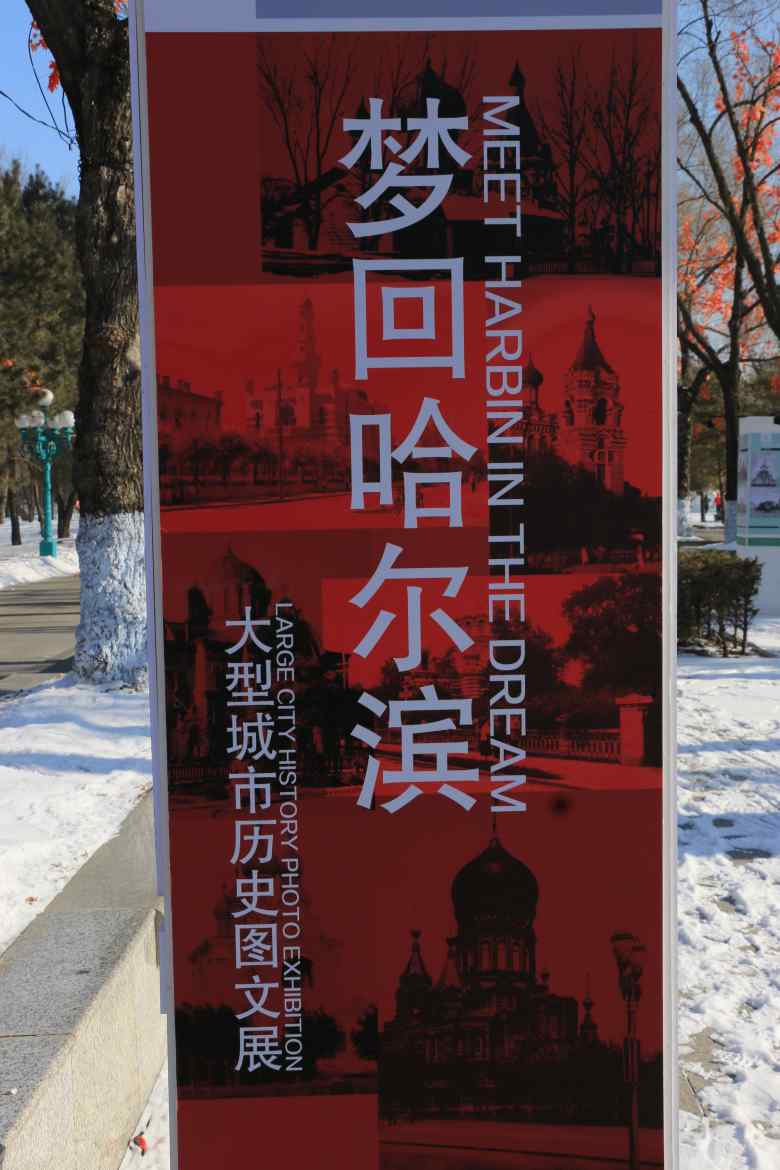 IMG_7622_conew1.jpg