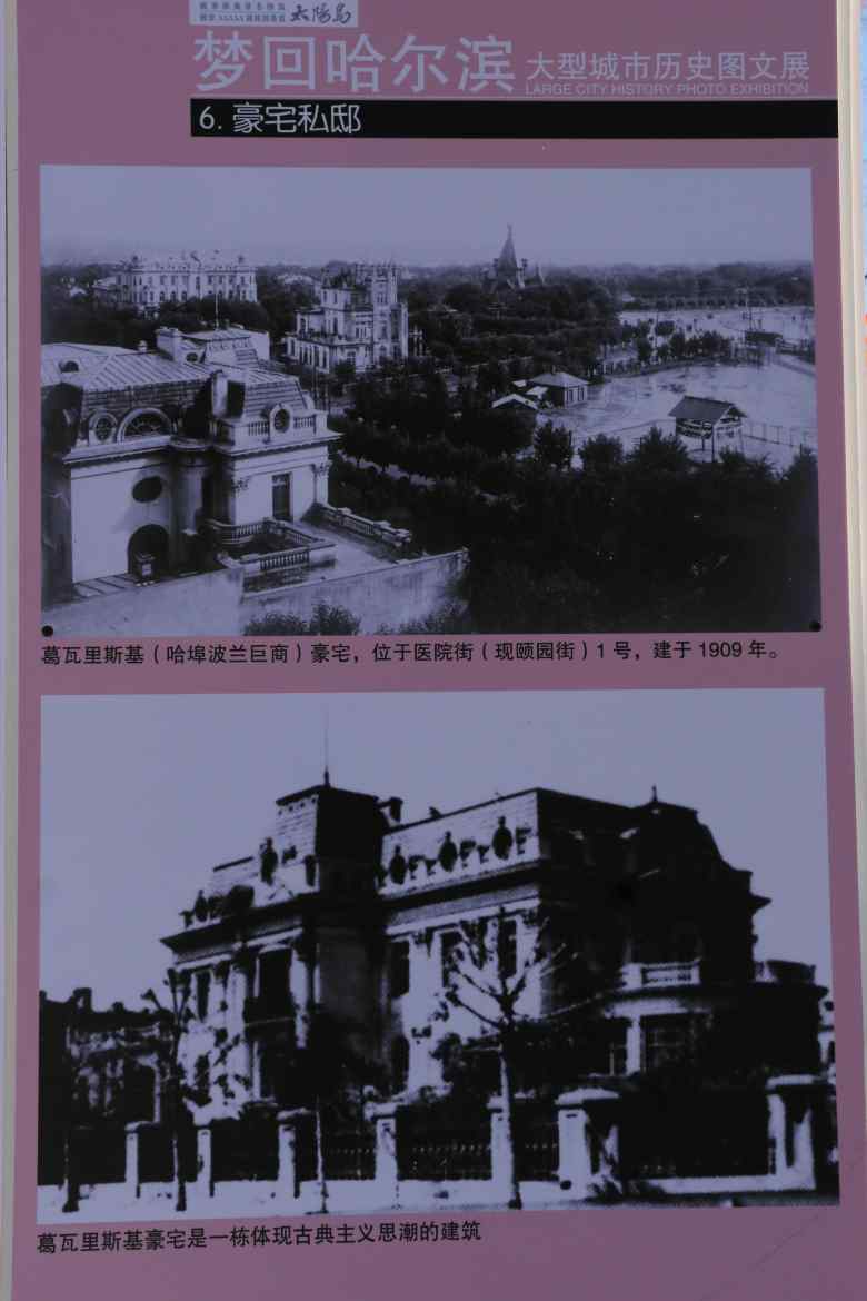 IMG_7636_conew1.jpg