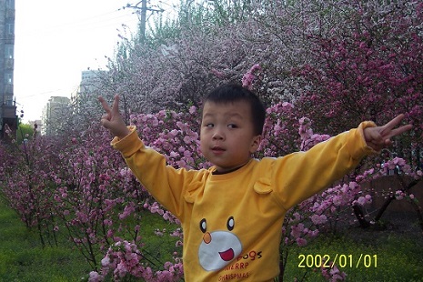 Ƭ 017.jpg
