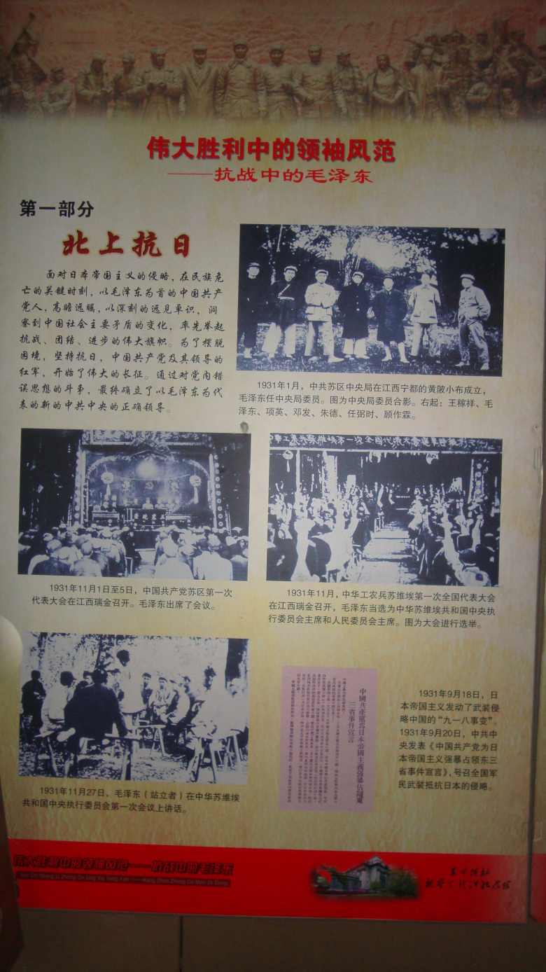 DSC08402_conew1.jpg