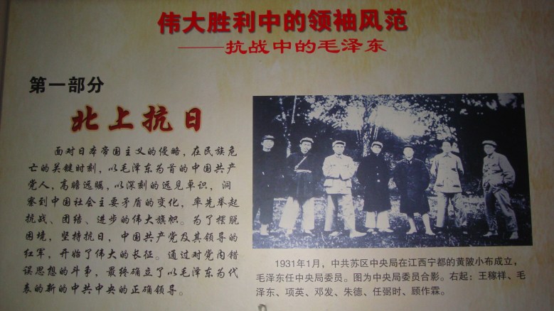 DSC08403_conew1.jpg