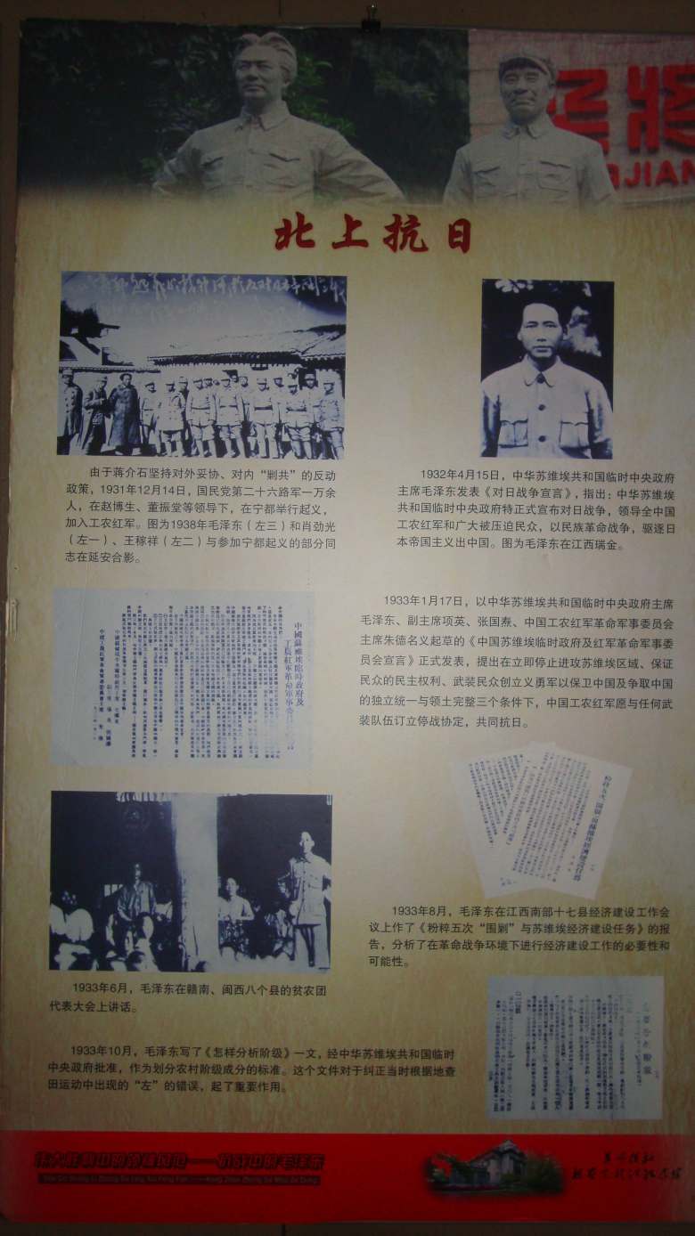 DSC08406_conew1.jpg