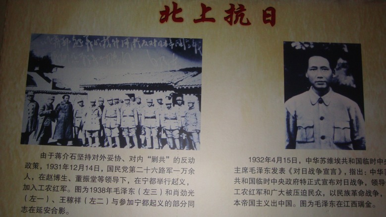 DSC08407_conew1.jpg