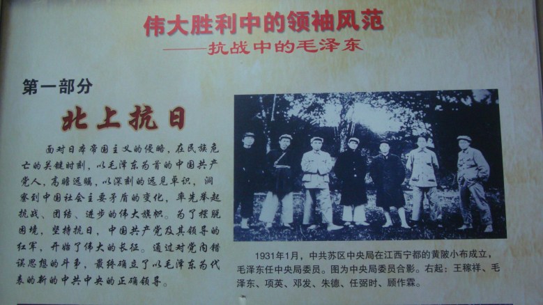 DSC08410_conew1.jpg