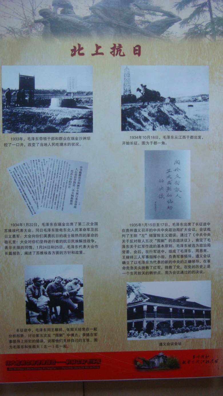 DSC08418_conew1.jpg