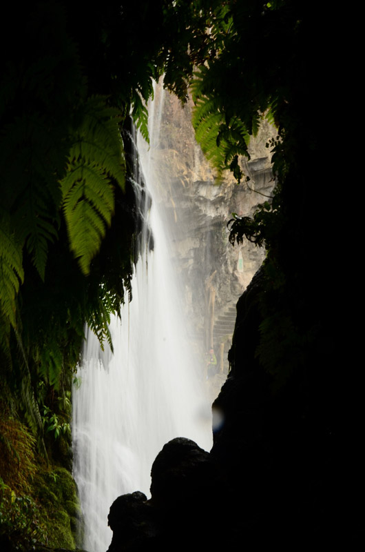 DSC_8934_ͼ_ͼ.jpg