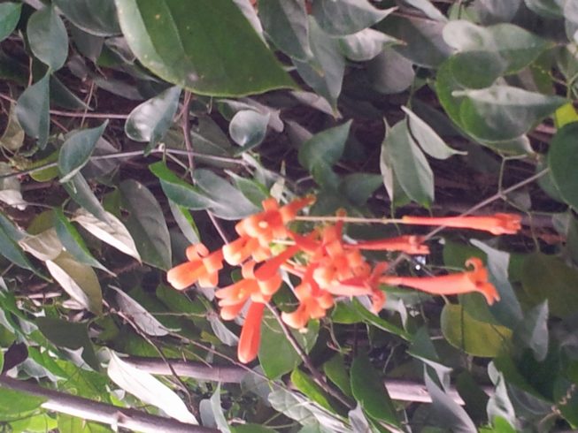 20160303_183504.jpg