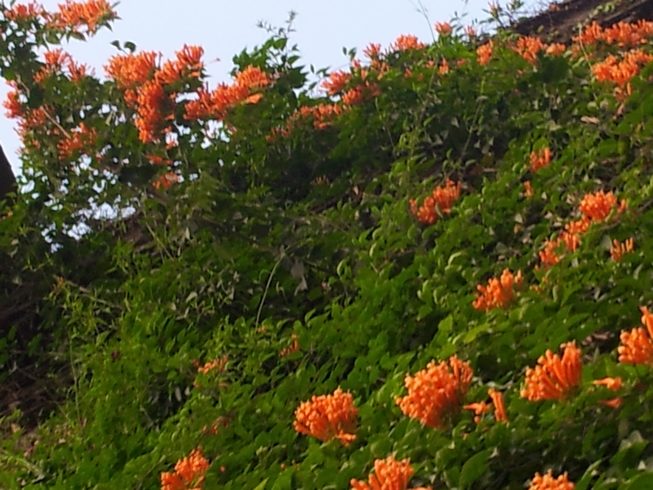 20160303_183645.jpg