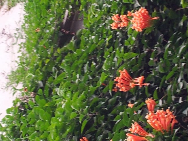 20160303_183701.jpg