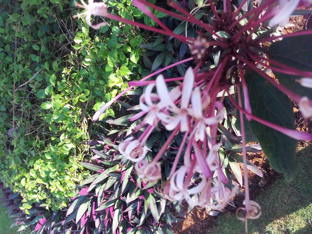 20160229_171024.jpg