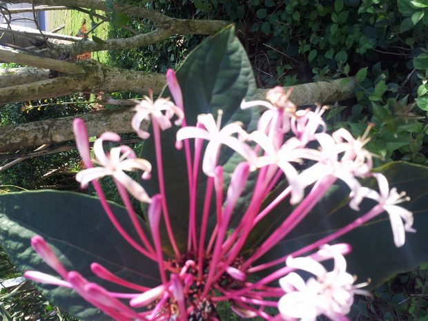 20160229_171048.jpg