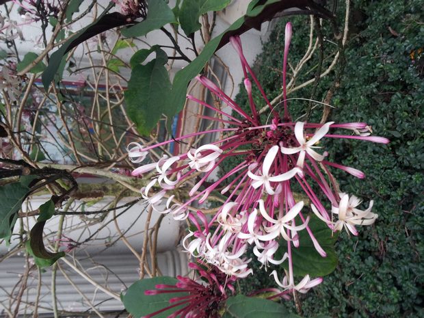 20160301_175915.jpg