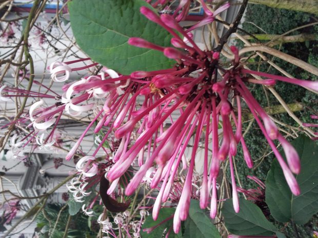 20160301_175922.jpg