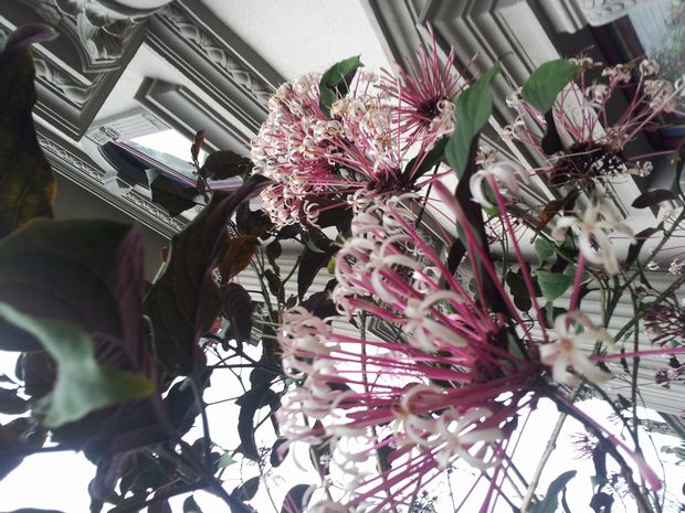 20160301_175949.jpg