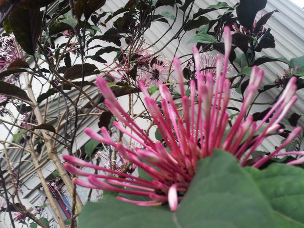 20160301_180030.jpg
