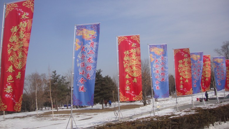 DSC08768_conew1.jpg