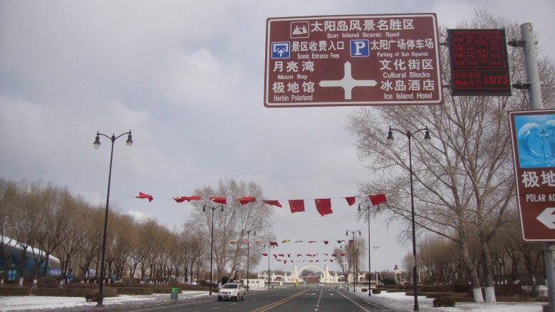 DSC08577_conew1.jpg