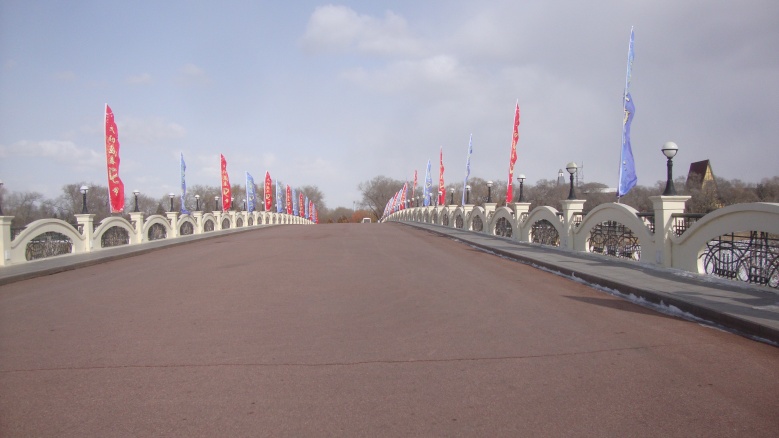 DSC08593_conew1.jpg