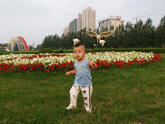 P7078851.JPG
