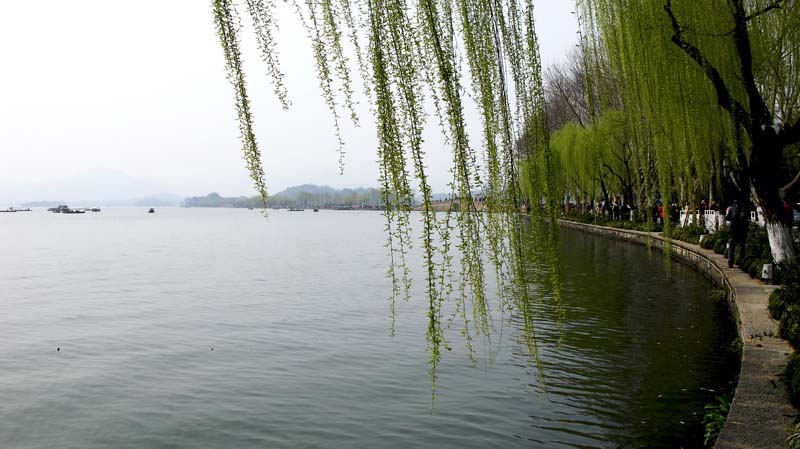 IMG_7007_С.JPG