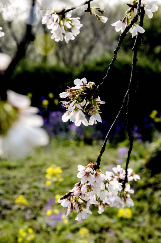 DSC_0636_С.jpg