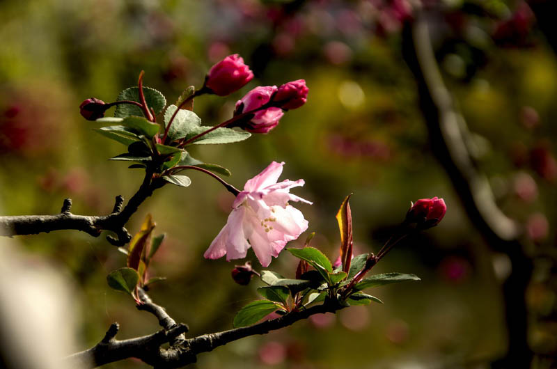 DSC_0701_С.jpg