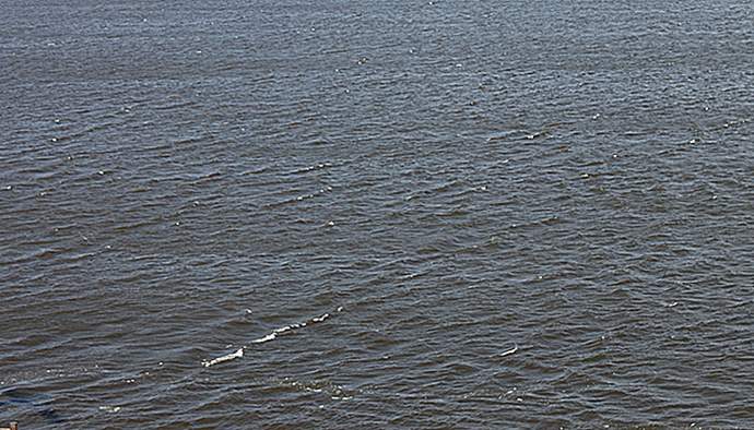 IMG_7550_.jpg