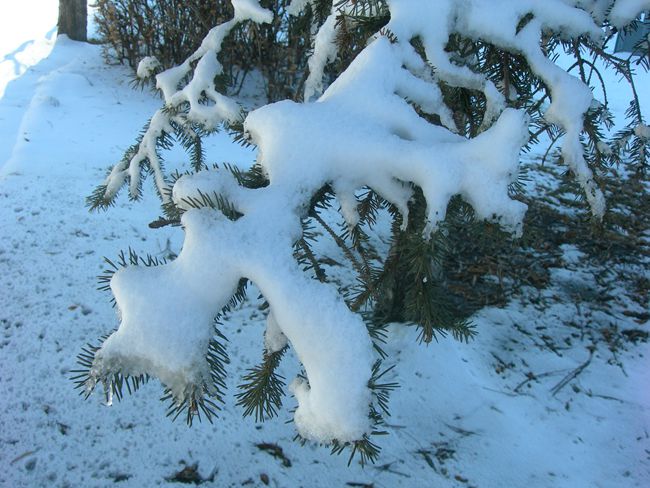 DSCN_81541-3.jpg