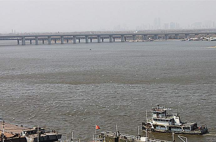 IMG_7717_.jpg