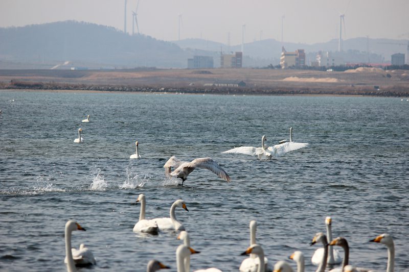 IMG_4416 - hao123ͼ.JPG