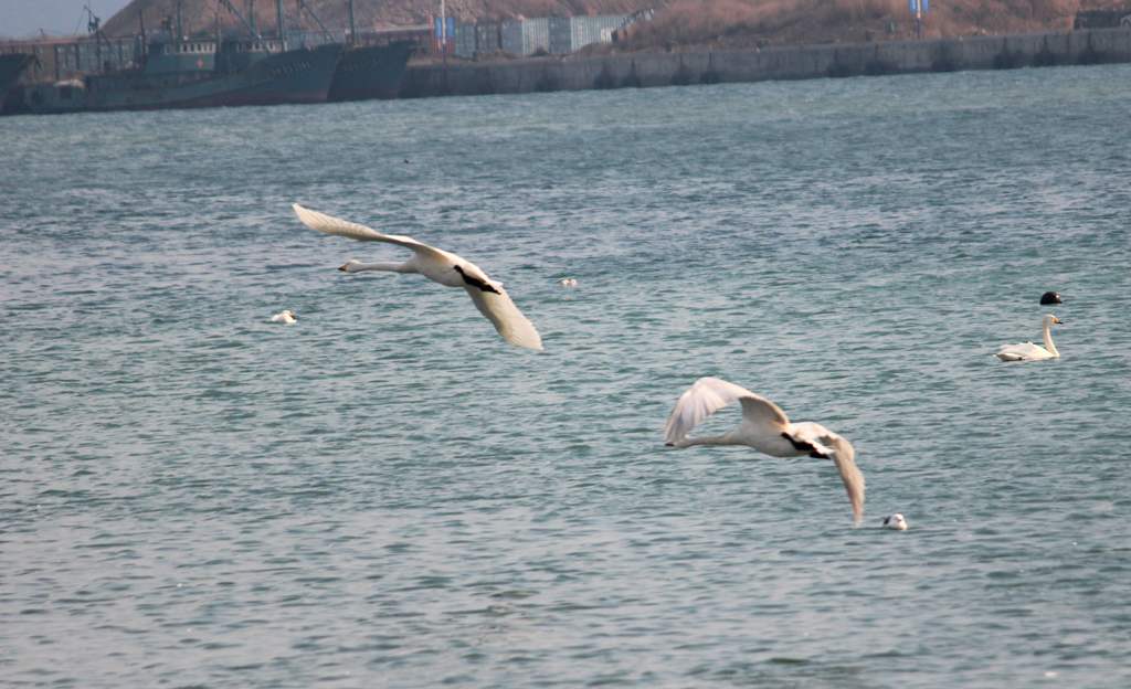 IMG_5051 - hao123ͼ.JPG