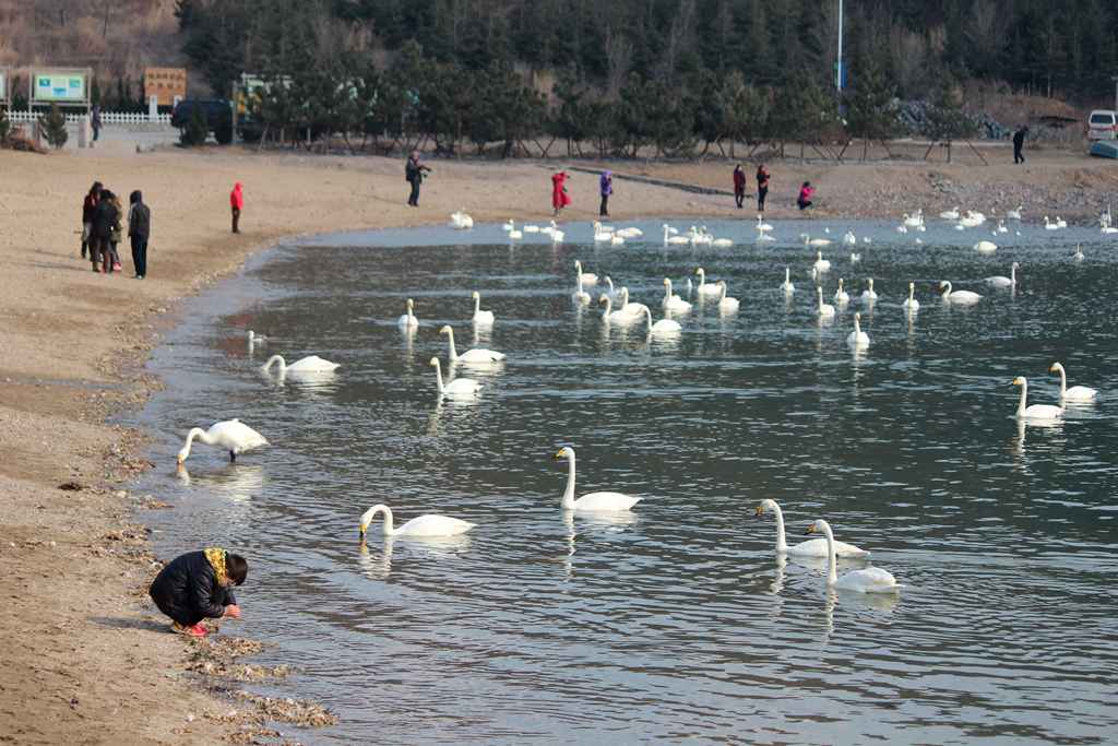 IMG_5065 - hao123ͼ.JPG
