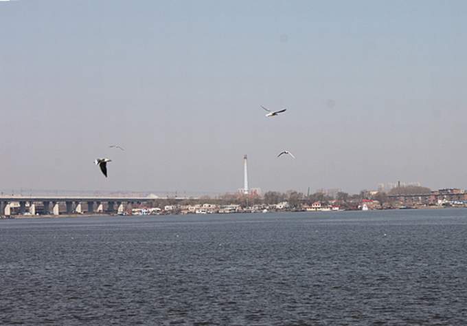 IMG_7773_.jpg
