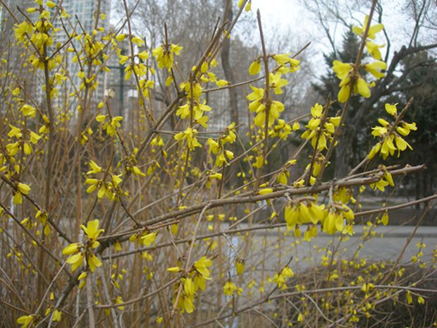 DSCN2535-3.jpg