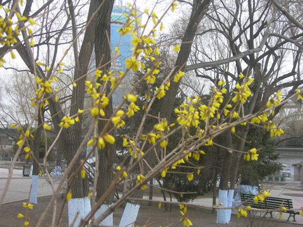 DSCN2541-3.jpg