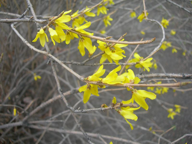 DSCN2548-3.jpg