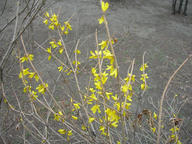 DSCN2552-3.jpg
