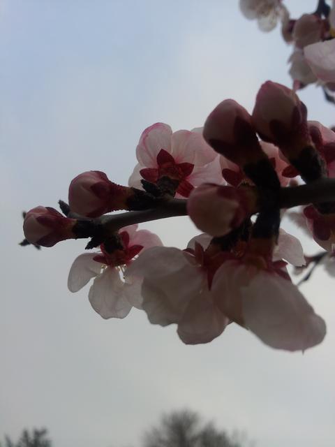 20160415_165944.jpg