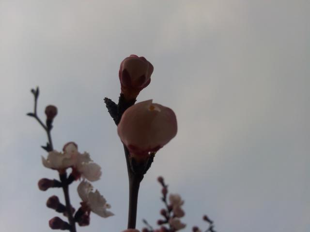 20160415_170004.jpg