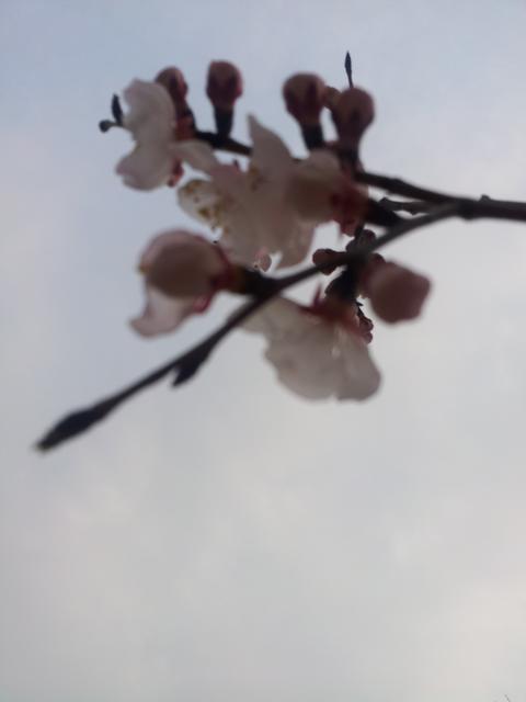 20160415_170010.jpg