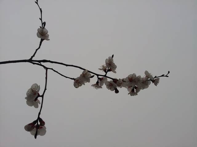 20160416_171649.jpg