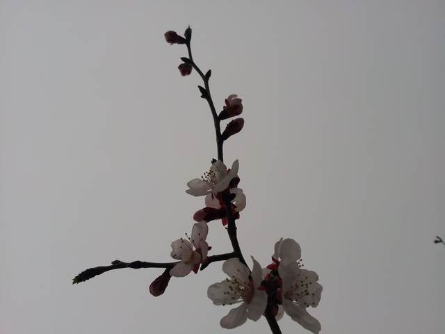 20160416_171812.jpg