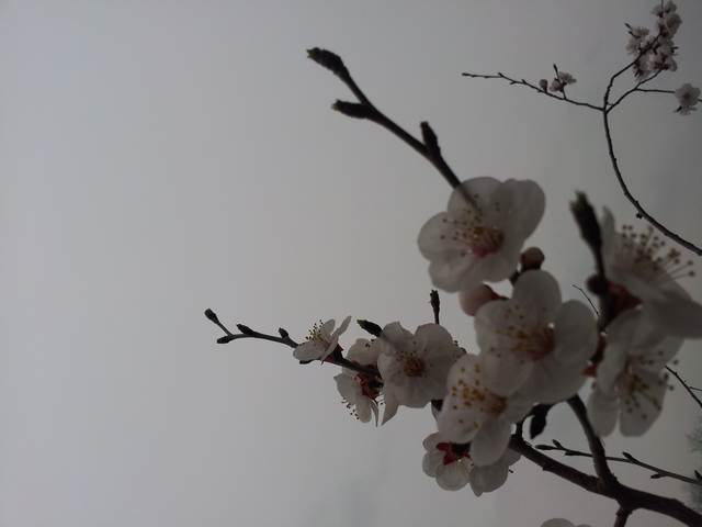 20160416_171849.jpg