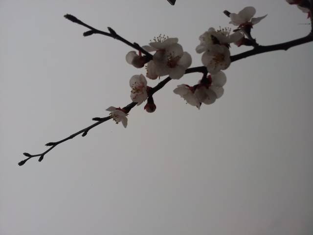 20160416_171902.jpg