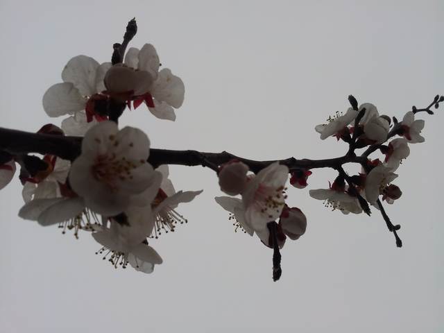 20160416_171931.jpg