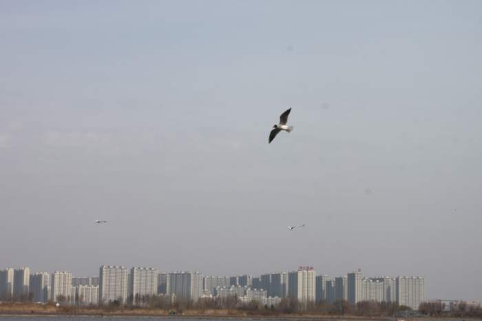 IMG_7867.JPG