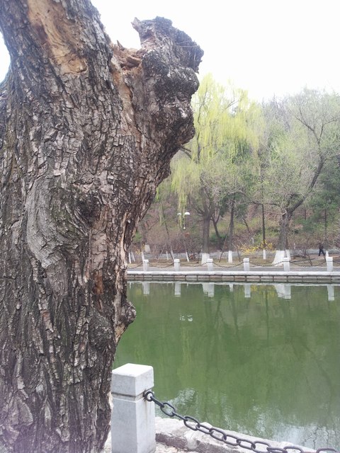 20160416_164856.jpg