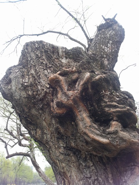 20160416_164917.jpg