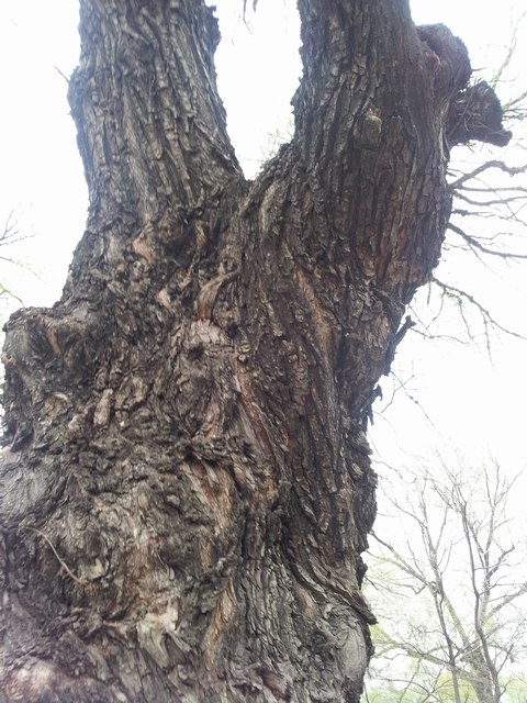 20160416_165006.jpg